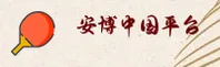 使用指南与常见问题